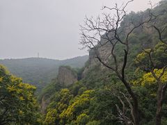 -北京鹫峰国家森林公园