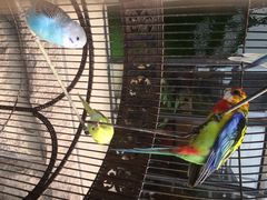 栈桥王子酒店(栈桥王子饭店)-老味道民宿(栈桥店)