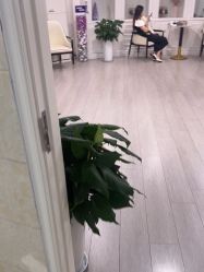 -安徽合肥韩美整形外科医院