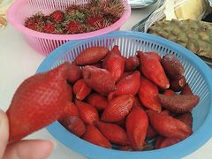 -东芭乐园