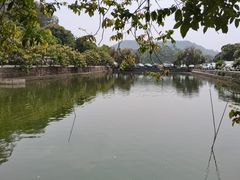 -满記土窑烧鷄波浪山莊