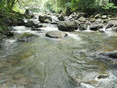 -广州市石门国家森林公园