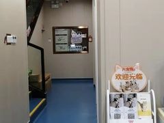 -创凡宠物医院·骨专科  猫科中心(西乡分院)
