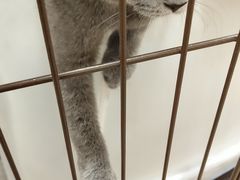 -iF摄影•全家福•证件照•形象照(南山店)