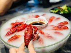 冰镇小龙虾-红盔甲·小龙虾(长寿路店)