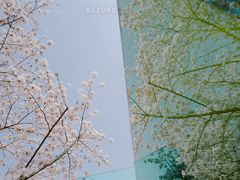 -龙美术馆(西岸馆)