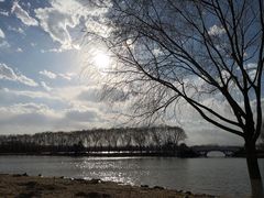 -大兴滨河森林公园