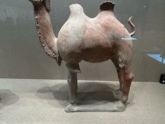 -敦煌市博物馆