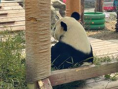 -南昌动物园