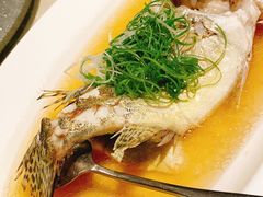 花雕酒香蒸桂鱼-成隆行·蟹王府(九江路店)
