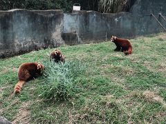 -宁波野生动物园