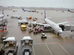 -谢列梅捷沃国际机场