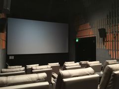 -星河寰宇IMAX影城(星河WORLD·COCO Park店)