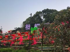 -枇杷园食为鲜火锅(南山店)