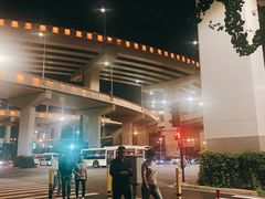 -新疆阿力烧烤