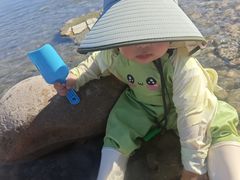 -绿堤公园