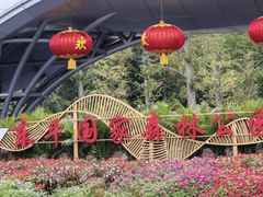 -东平国家森林公园