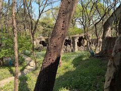 -沈阳植物园
