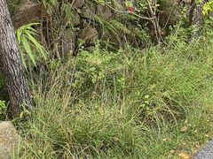 -苍山世界地质公园·石门关大峡谷