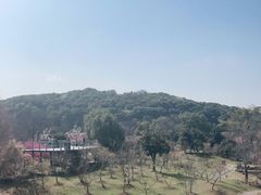 -无锡梅园公园