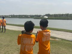 -春花秋色城市公园