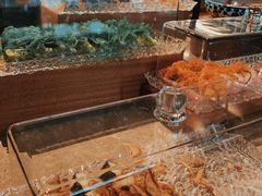-康莱德酒店·美庭自助餐厅