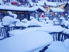-东北人家铁锅炖(鞍山路店)