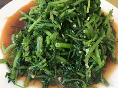 拌泉水菜-俺家菜馆(百里峡店)