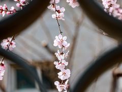 -三里河公园