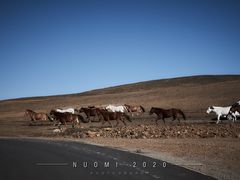 -塞罕坝国家级自然保护区