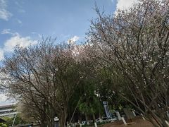 -中国客家博物馆