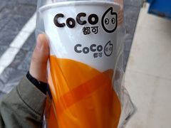 -CoCo都可(梅李大梦想城店)