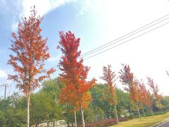 -仰山公园