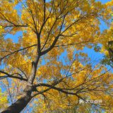 北京秋天🍂美成画的街巷集合了N家宝藏店铺