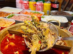 -铭记蛙小仙·活蛙畅享(CBD万达广场店)