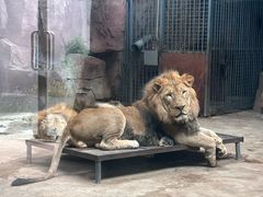 -鄂尔多斯野生动物园