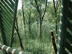 -西湖风景区-江洋畈生态公园