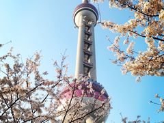 -东方明珠广播电视塔