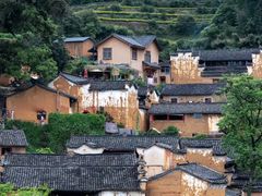 -杨家堂村