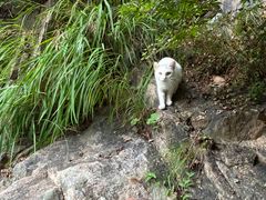 -崂山九水游览区