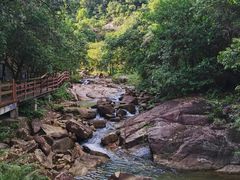 -广州白江湖森林公园