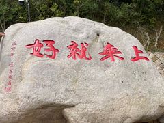 -普陀山风景区-佛顶山