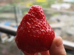 -水果地带(中航国际店)