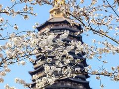 -回回锅贴(小河沿店)