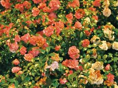 -长沙火车站(地铁站)