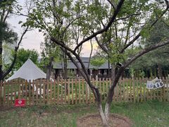 -滨河世纪广场公园