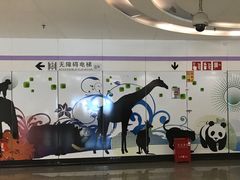 -上海动物园(地铁站)