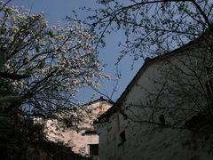-篁岭景区
