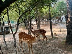 -观唐（国际）度假村温泉