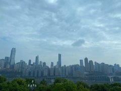 -丽晶轩中餐厅(重庆丽晶酒店)